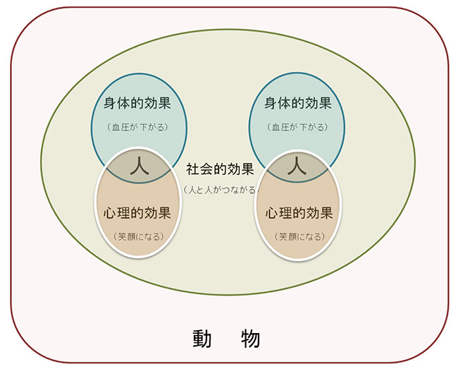 事業イメージ画像