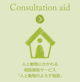 Consultation aid