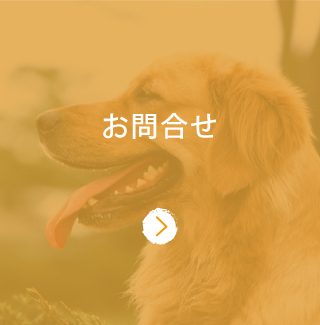 お問合せ