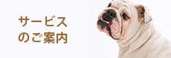サービスのご案内